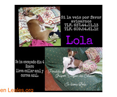 se ha perdido Lola / 1
