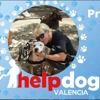 Helpdog Valencia